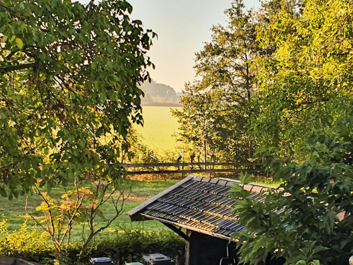 B&B De Nieuwenhof 'De Tuinkamer' Melderslo 外观 照片