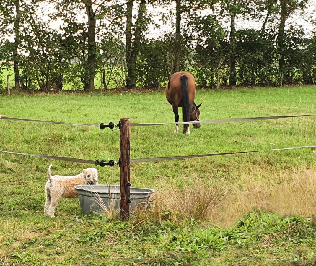 B&B De Nieuwenhof 'De Tuinkamer' Melderslo 外观 照片